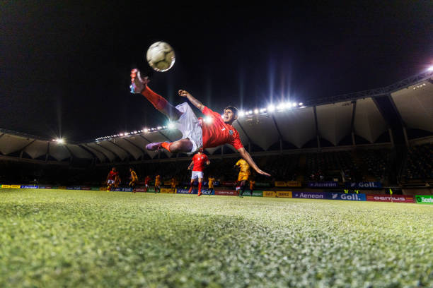 更由于这项 更由于这项