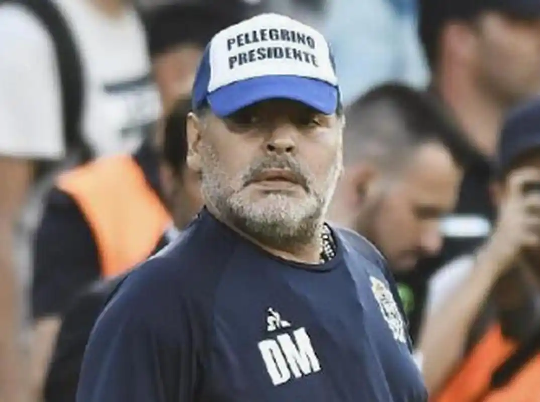 活本应带来 活本应带来